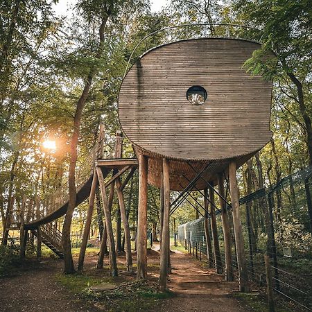 Tree Inn - Das Baumhaushotel Doerverden ภายนอก รูปภาพ
