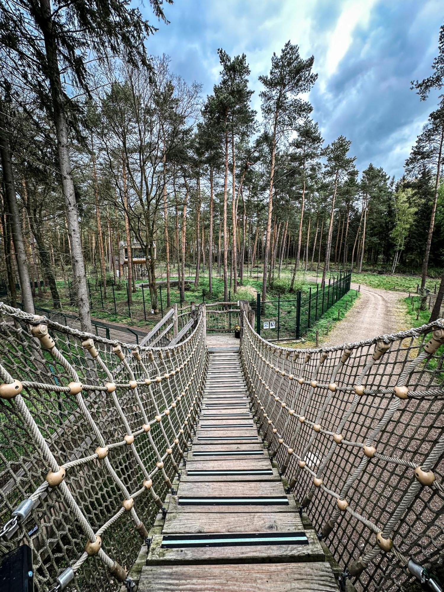 Tree Inn - Das Baumhaushotel Doerverden ภายนอก รูปภาพ