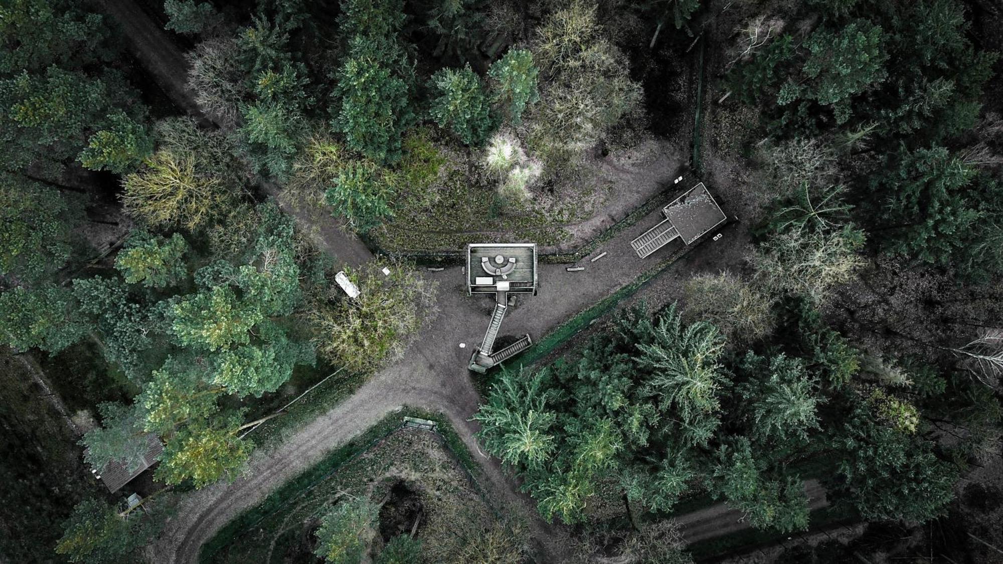 Tree Inn - Das Baumhaushotel Doerverden ภายนอก รูปภาพ