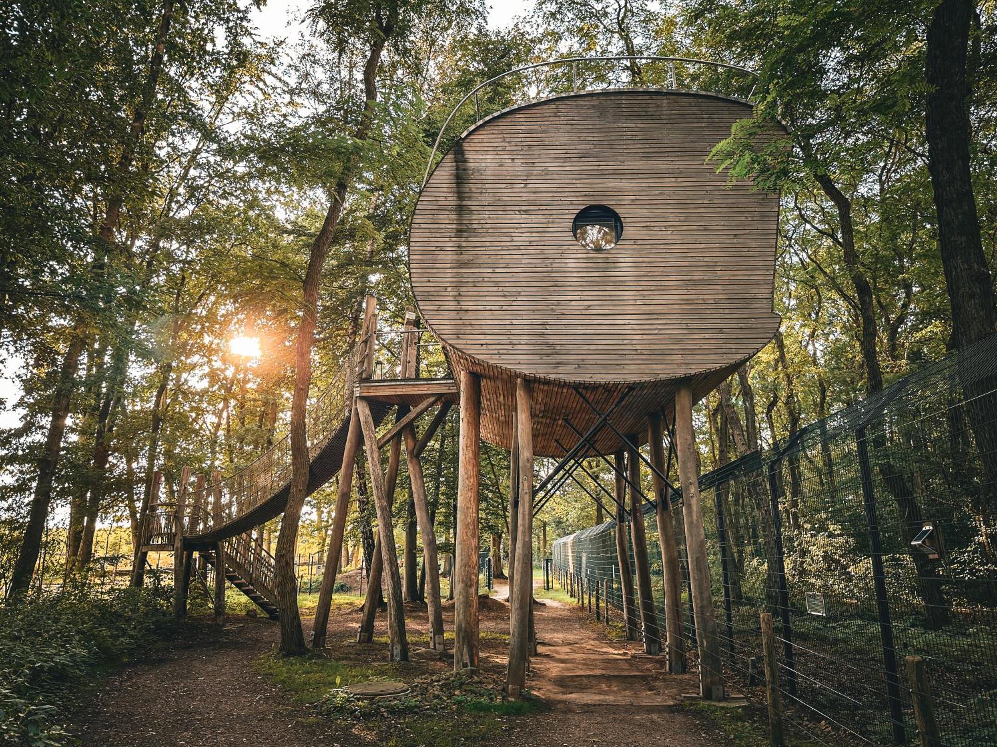 Tree Inn - Das Baumhaushotel Doerverden ภายนอก รูปภาพ