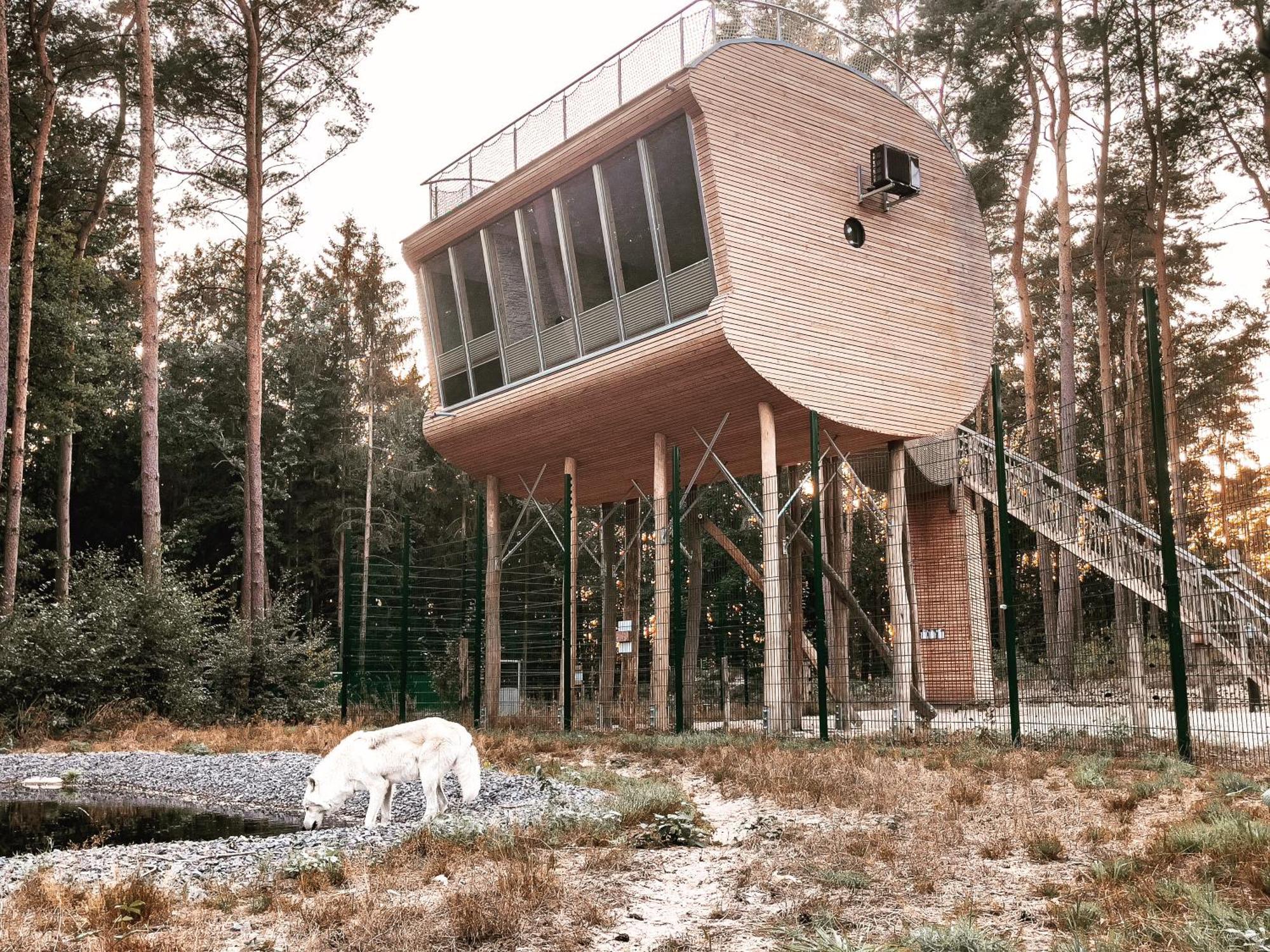 Tree Inn - Das Baumhaushotel Doerverden ภายนอก รูปภาพ