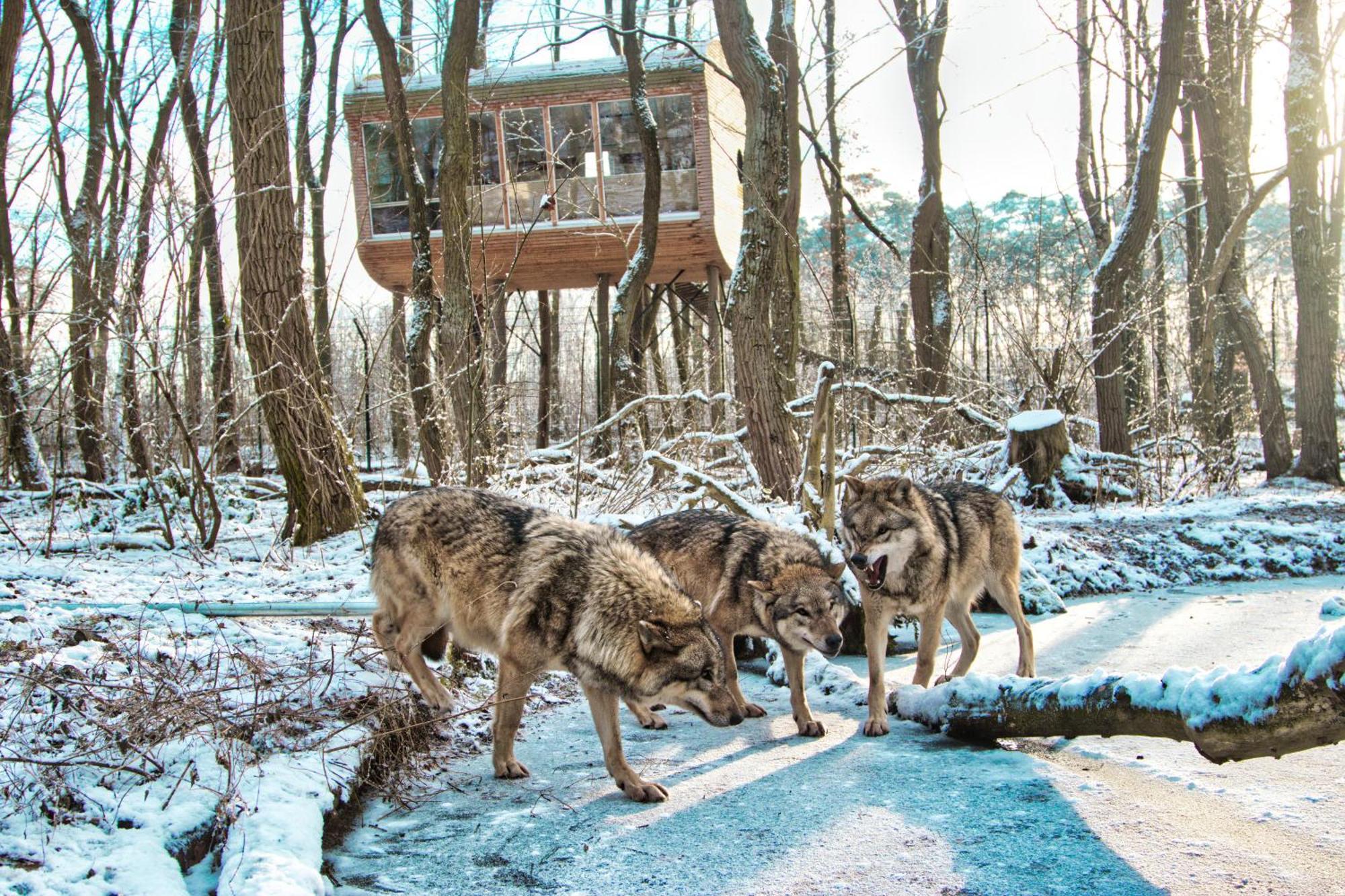 Tree Inn - Das Baumhaushotel Doerverden ภายนอก รูปภาพ
