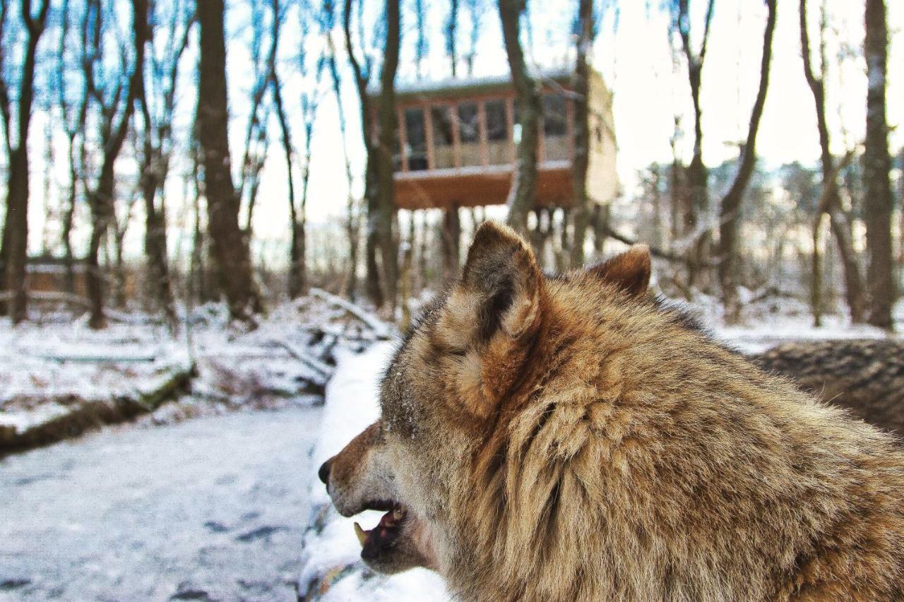 Tree Inn - Das Baumhaushotel Doerverden ภายนอก รูปภาพ
